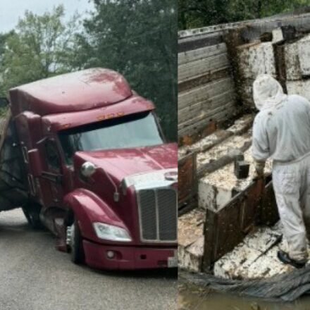 Honey holocaust: 24 million bees escape after 18-wheeler overturns, forcing Texas community into lockdown | World News