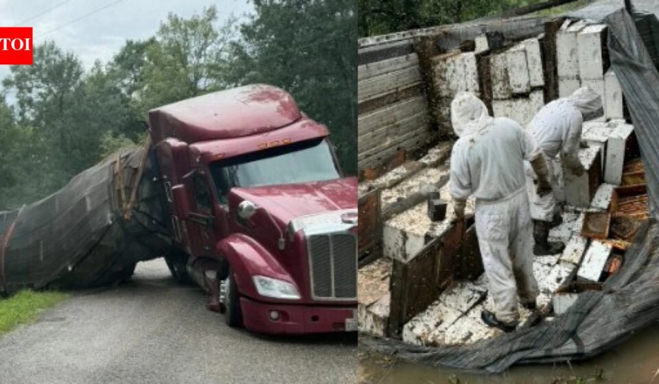 Honey holocaust: 24 million bees escape after 18-wheeler overturns, forcing Texas community into lockdown | World News