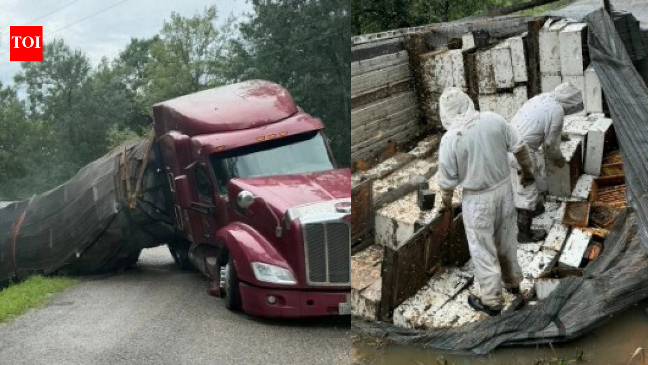 Honey holocaust: 24 million bees escape after 18-wheeler overturns, forcing Texas community into lockdown | World News