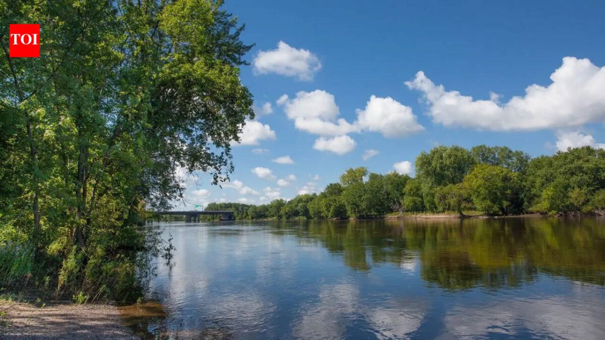 In 1812, a powerful earthquake caused the Mississippi River to flow backwards, creating a lake that still exists today | World News