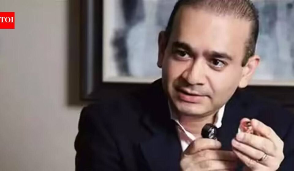 Indian Bank wins Rs 100-crore case against Nirav Modi