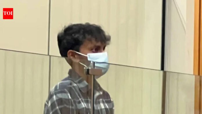 Indian man deported from New Zealand for having sex with minors says he will face humiliation upon return

