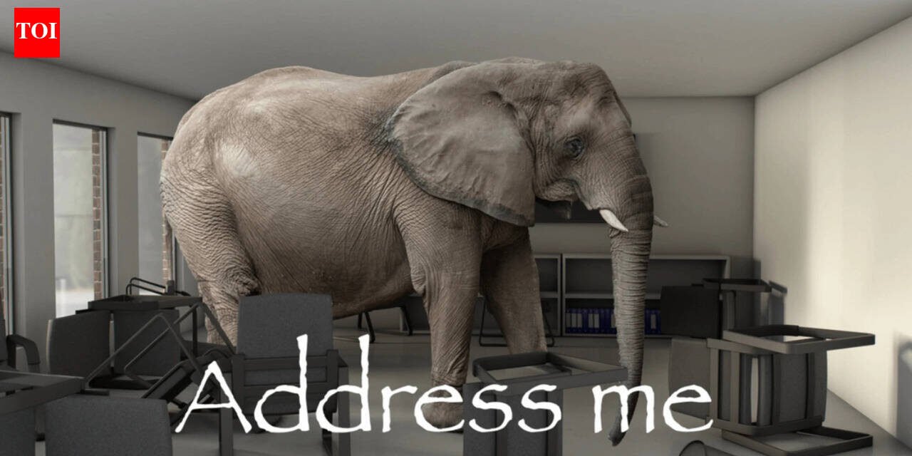 Indonesian proverb: "You can't see the elephant in front of you, only the ants on the other side of the ocean" - why we notice the shortcomings of others more than our own