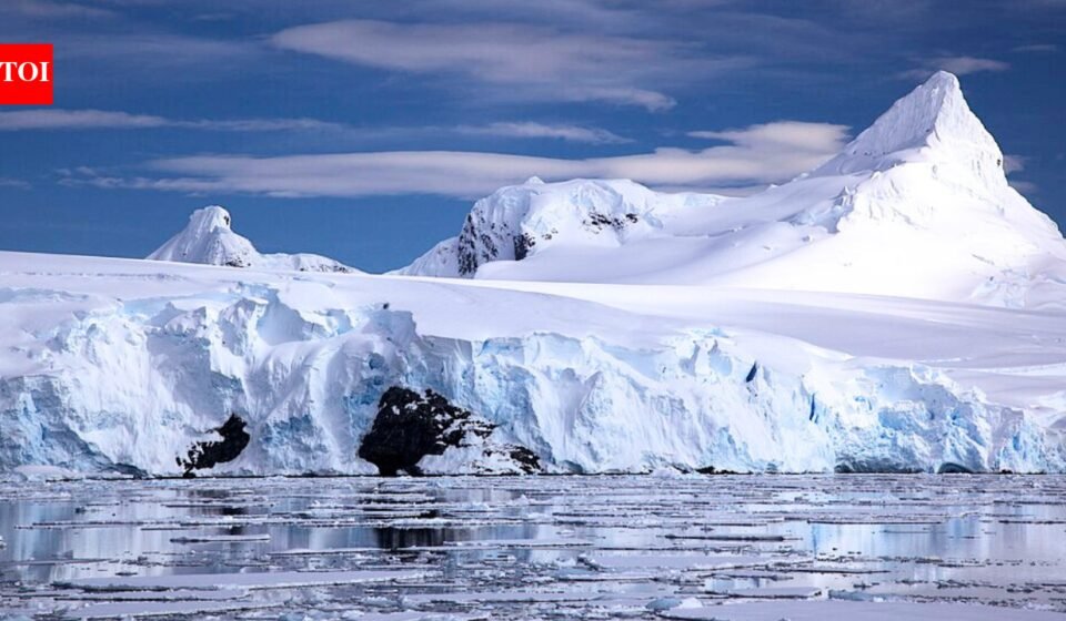 'It's frustrating': Antarctica's winter sea ice disappears as temperatures reach 20°C above average