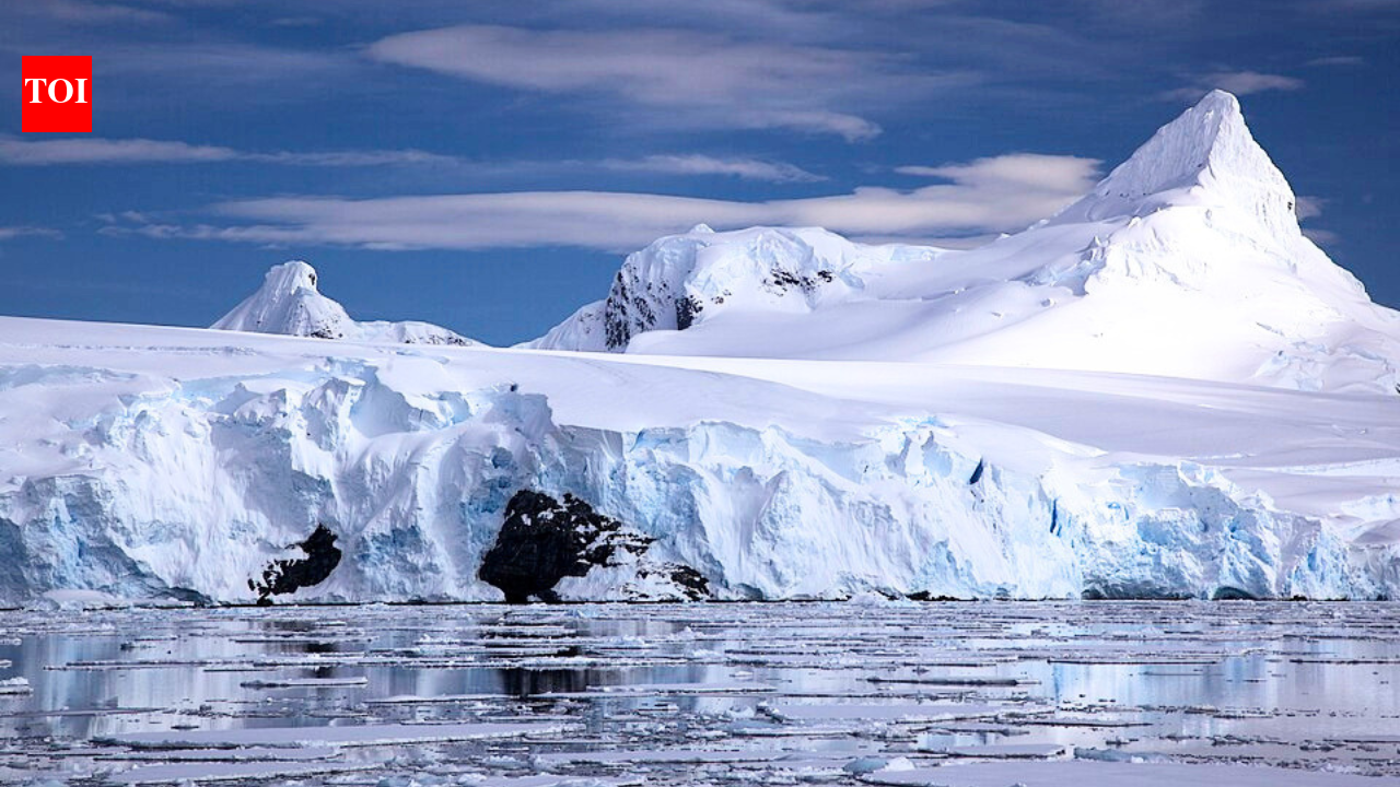 'It's frustrating': Antarctica's winter sea ice disappears as temperatures reach 20°C above average
