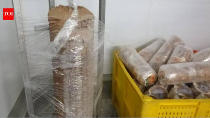 Kebab fined over Rs 6.3 crore for selling 'mainly skin and fat' mutton in UK; to be paid within 4 years

