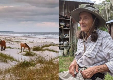 Meet Carol Ruckdeschel: the 84-year-old woman who chose to live alone on a deserted island full of snakes and horses and dedicated her life to nature | World News