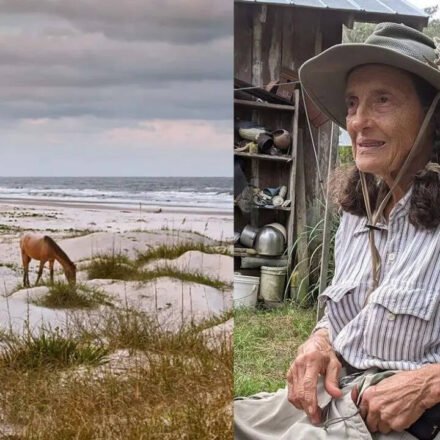 Meet Carol Ruckdeschel: the 84-year-old woman who chose to live alone on a deserted island full of snakes and horses and dedicated her life to nature | World News
