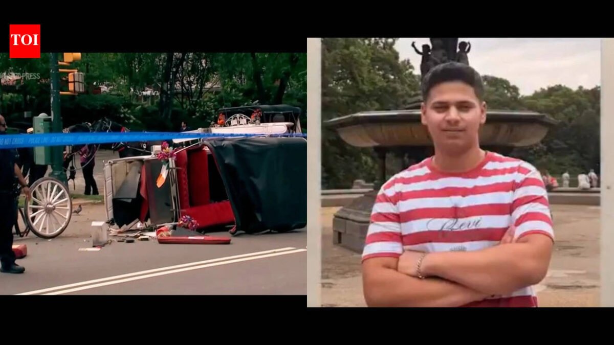 New York Mayor Zohran Mamdani pushes to end horse-drawn carriage industry after death of Indian teen Romanch Mahajan