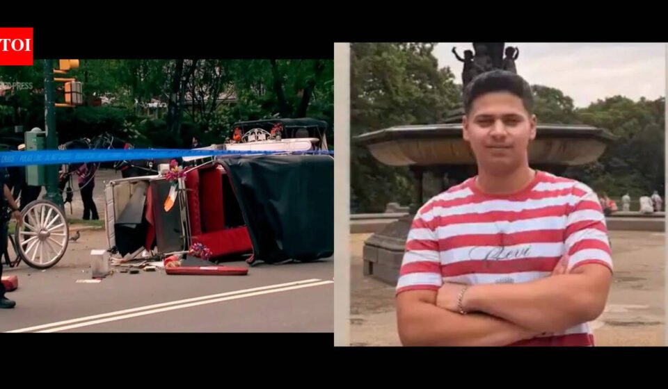 New York Mayor Zohran Mamdani pushes to end horse-drawn carriage industry after death of Indian teen Romanch Mahajan