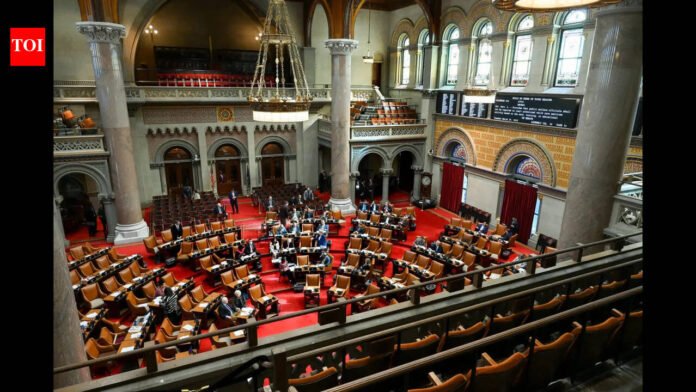 New York's caste discrimination bill fails to move forward: 'As a Bahujan Hindu...'

