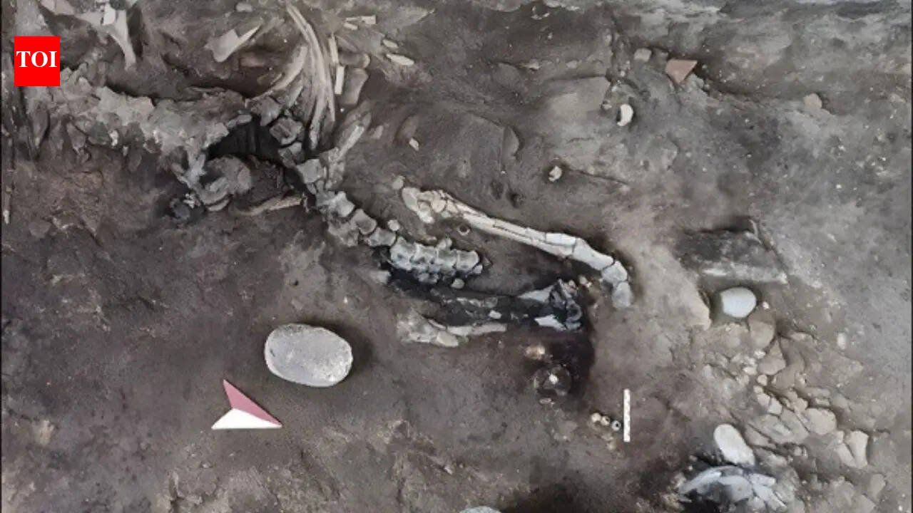 Pompeii bakery: Two skeletons found in Pompeii bakery may hold key to mystery of volcanic eruption hidden for nearly 2,000 years | World News
