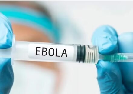 Saudi Arabia imposes travel ban on three African countries, suspends visas over Ebola outbreak World News