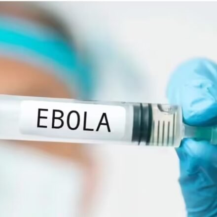 Saudi Arabia imposes travel ban on three African countries, suspends visas over Ebola outbreak World News