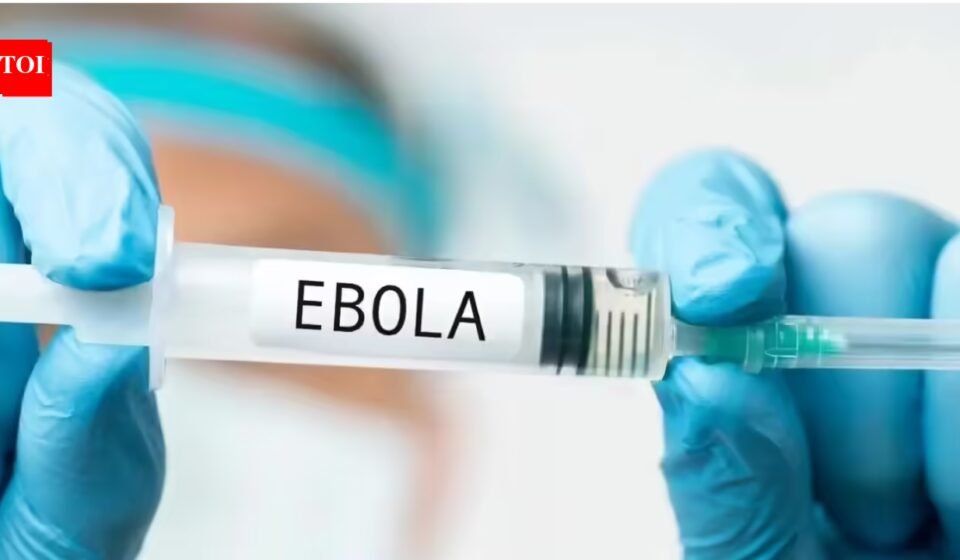 Saudi Arabia imposes travel ban on three African countries, suspends visas over Ebola outbreak World News