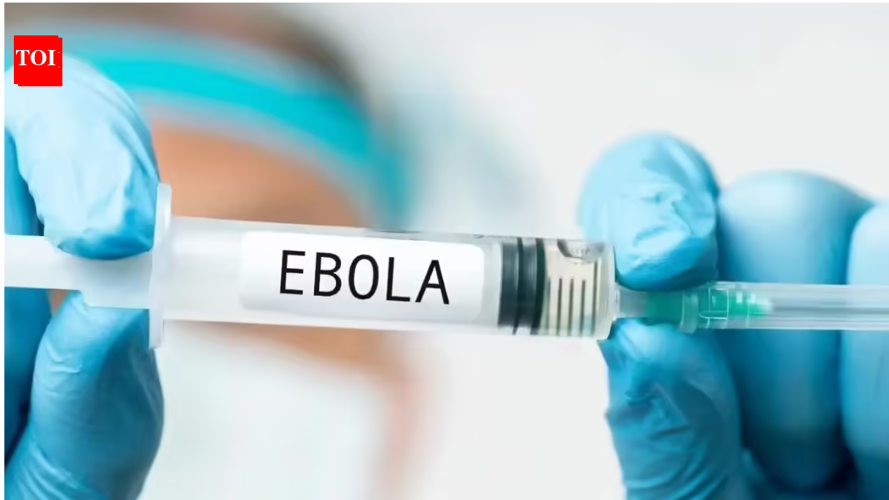 Saudi Arabia imposes travel ban on three African countries, suspends visas over Ebola outbreak World News