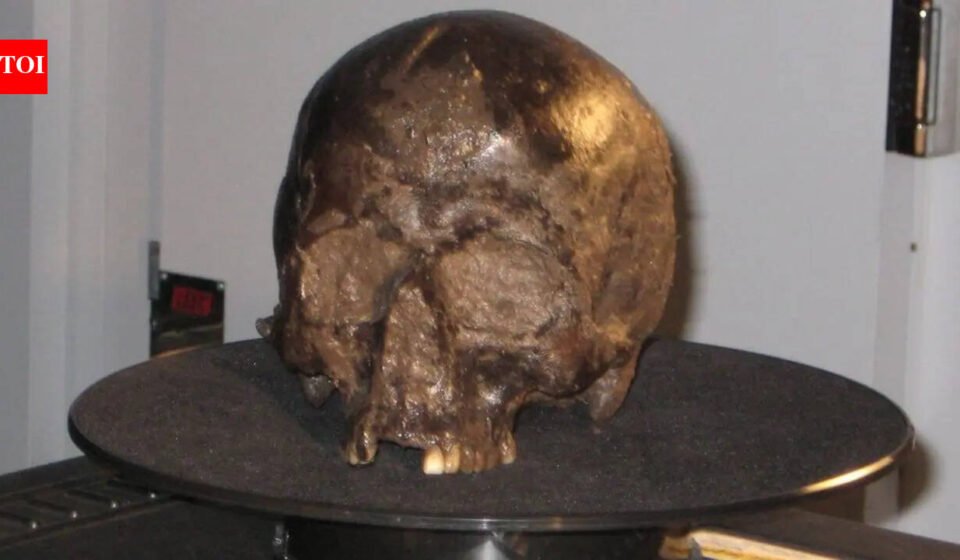 Scientists discover a 2,600-year-old brain inside an Iron Age skull, and it's still intact |