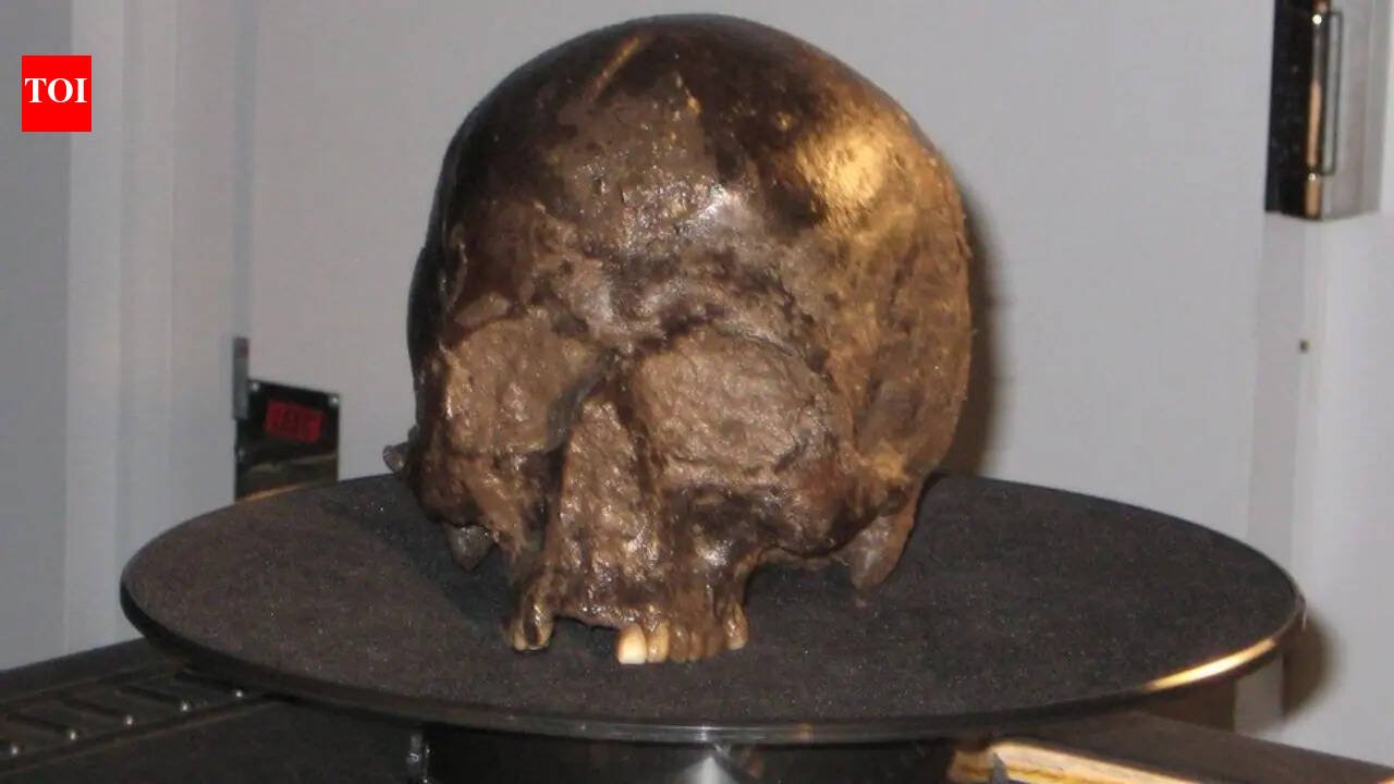 Scientists discover a 2,600-year-old brain inside an Iron Age skull, and it's still intact |