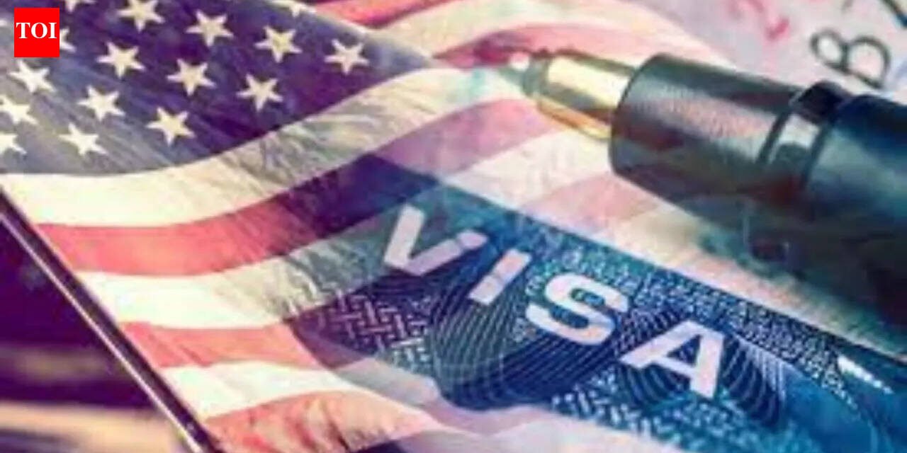 'Sorry, I can't provide you with a US visa today': Indian student recounts F1 visa rejection experience. A Reddit user pointed out a bug