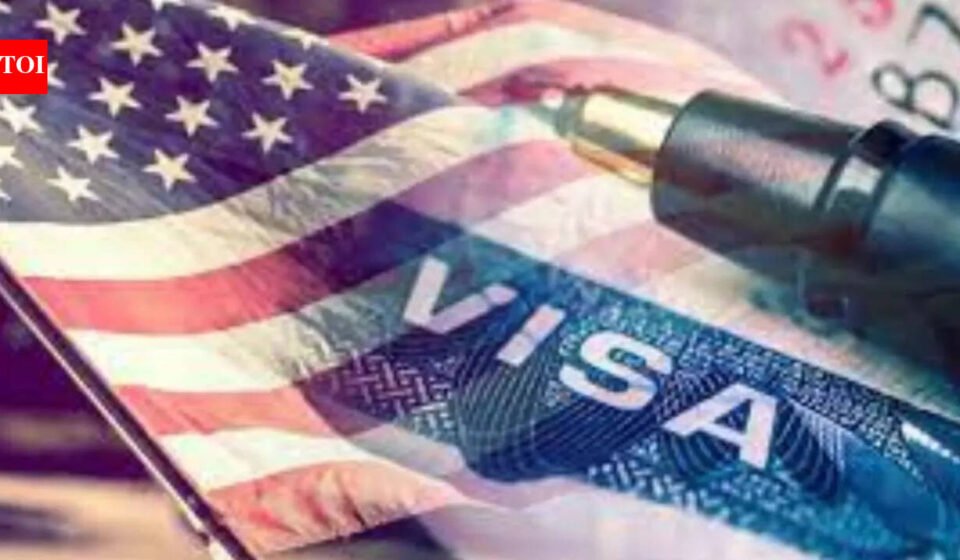 'Sorry, I can't provide you with a US visa today': Indian student recounts F1 visa rejection experience. A Reddit user pointed out a bug
