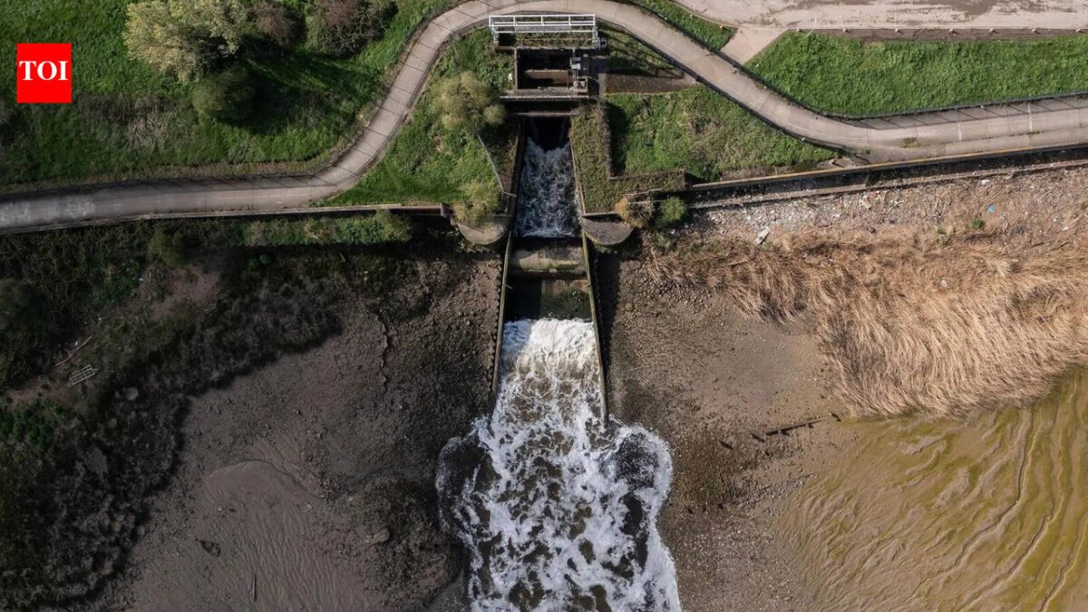 Thames Water: Thames water crisis worsens after government opposes £10bn rescue plan World News