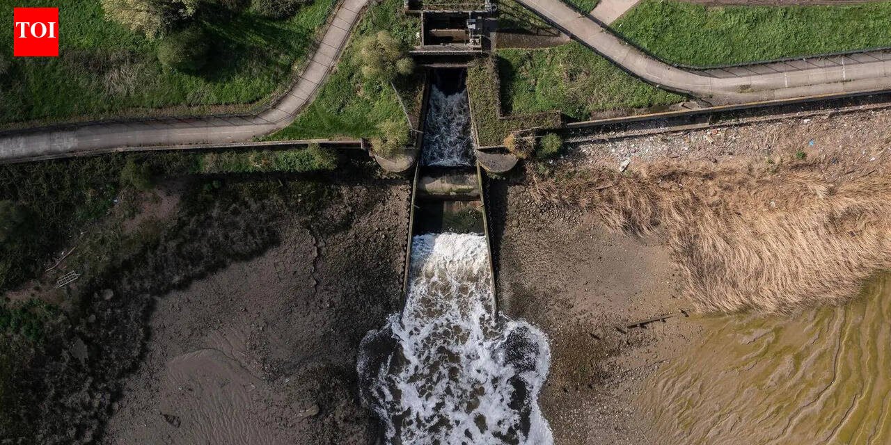 Thames Water: Thames water crisis worsens after government opposes £10bn rescue plan World News