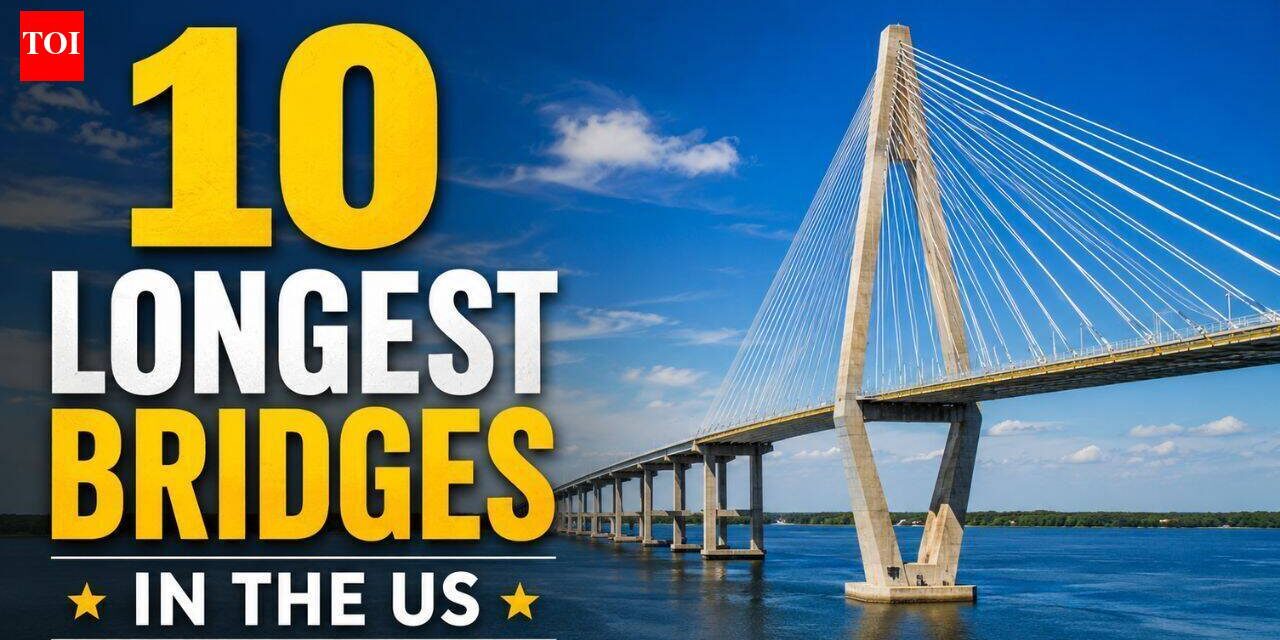 The 10 Longest Bridges in America: From Lake Pontchartrain Causeway to Seven Mile Bridge | World News