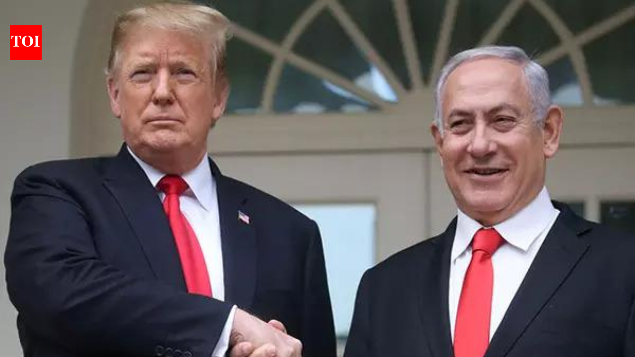 'The best family...': Netanyahu responds to Trump's 'crazy' comments, admits 'tactical differences'