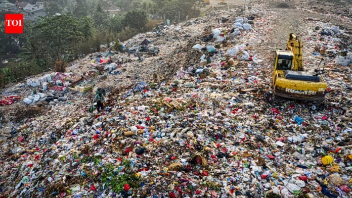The dark side of plastic recycling: Why does some waste end up being incinerated?

