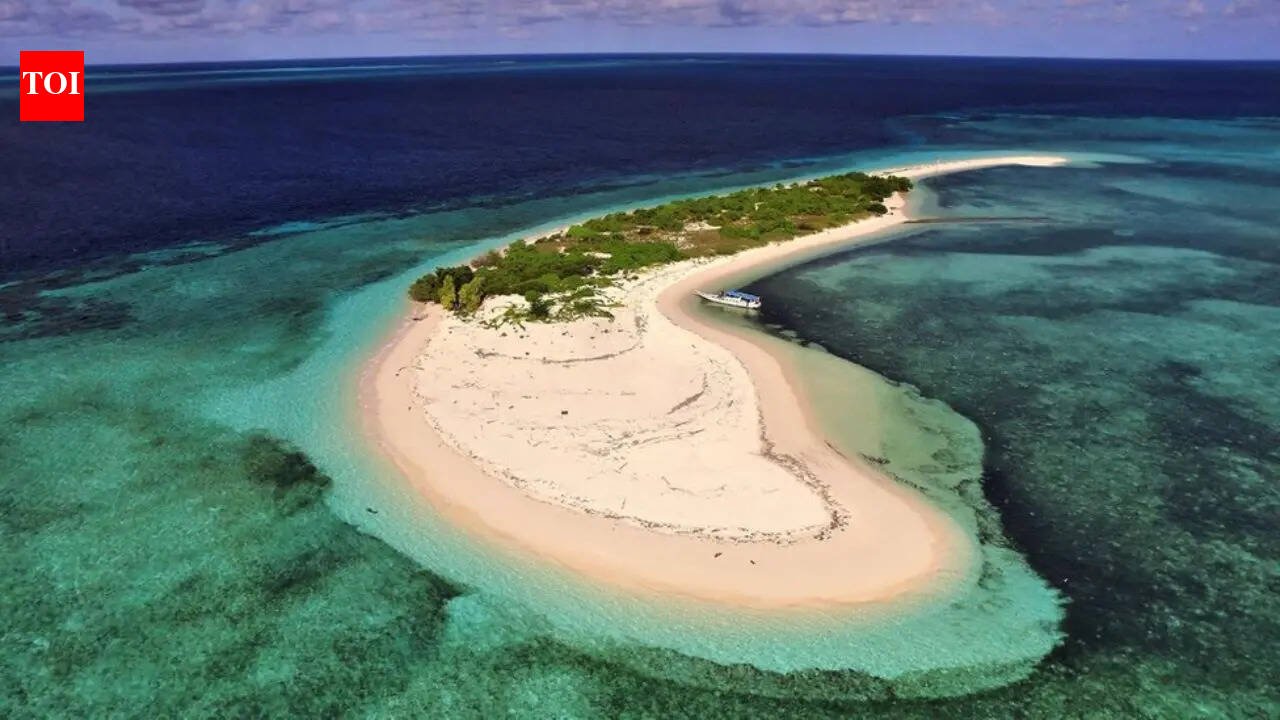The world's top 10 island countries: Indonesia, Japan, Papua New Guinea among the largest island countries World News