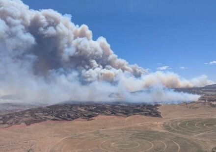 Three firefighters killed fighting wildfires on Colorado-Utah border as blazes spread across US West