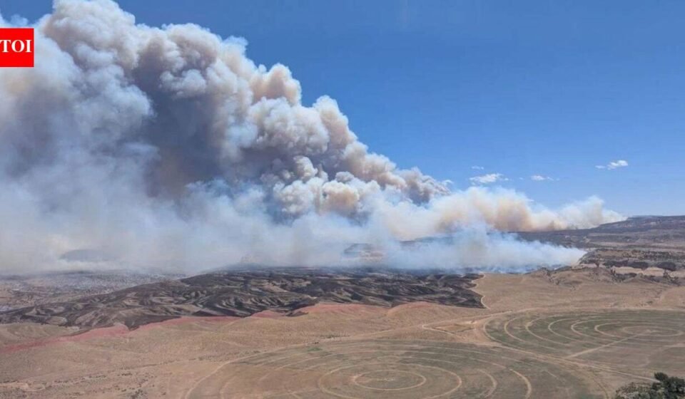 Three firefighters killed fighting wildfires on Colorado-Utah border as blazes spread across US West