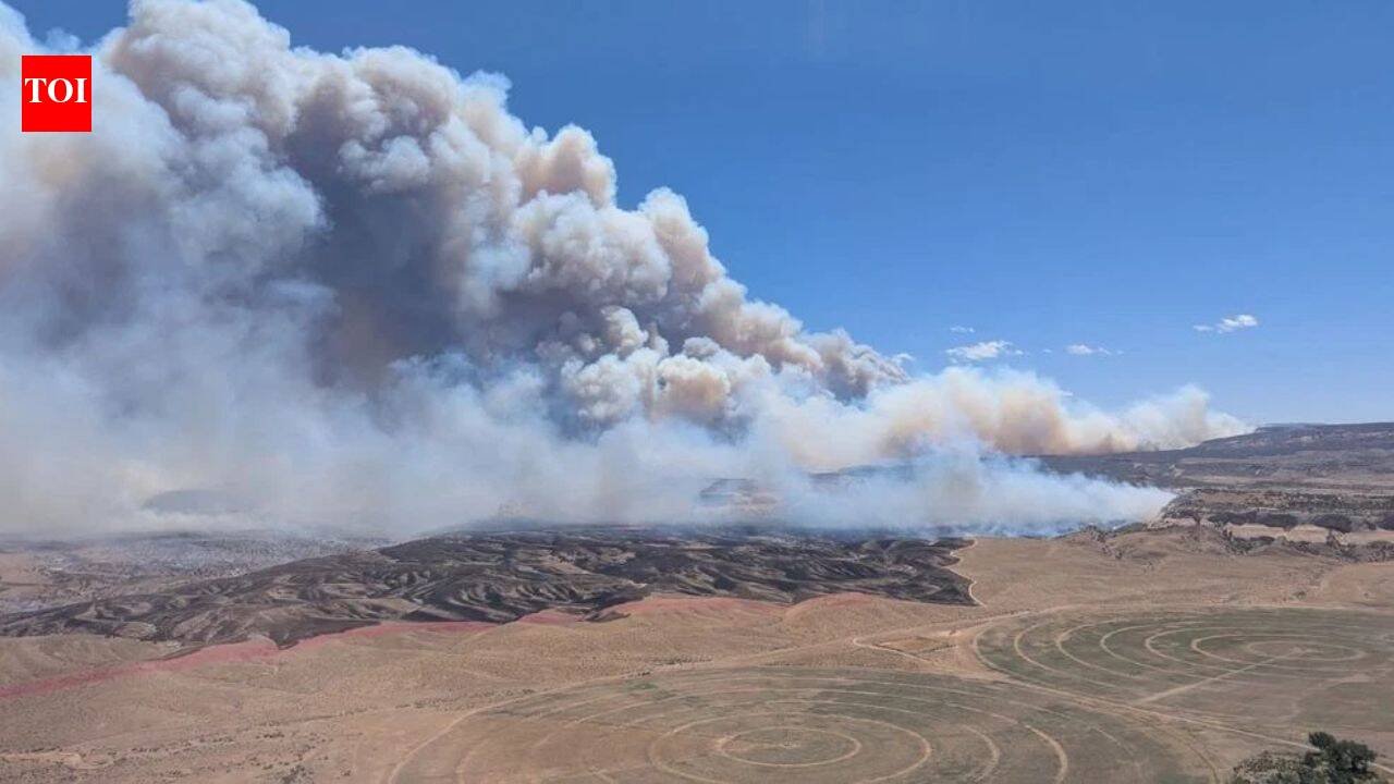 Three firefighters killed fighting wildfires on Colorado-Utah border as blazes spread across US West