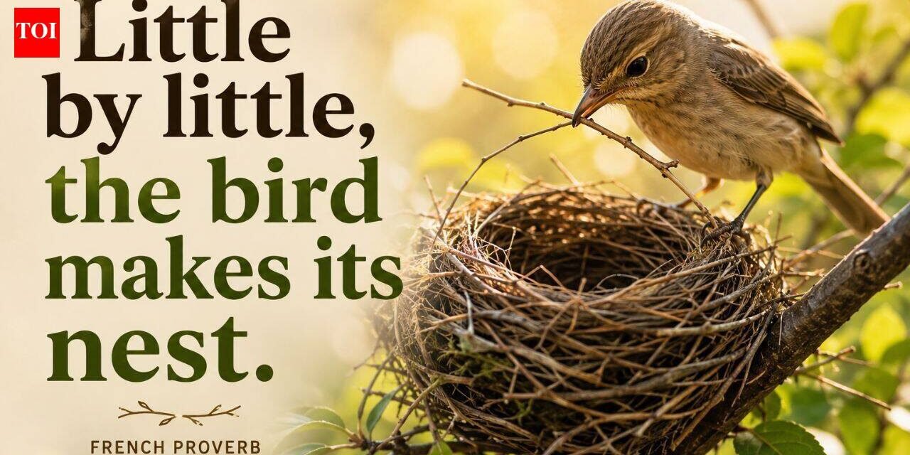 Today’s French proverb: “Little by little, a bird builds its nest”—a lesson in why slow, steady effort builds the strongest foundations