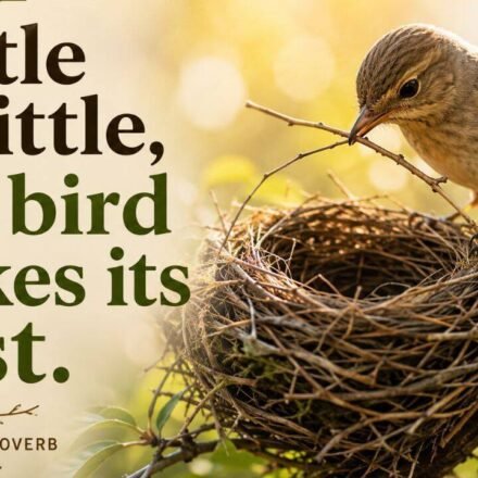 Today’s French proverb: “Little by little, a bird builds its nest”—a lesson in why slow, steady effort builds the strongest foundations