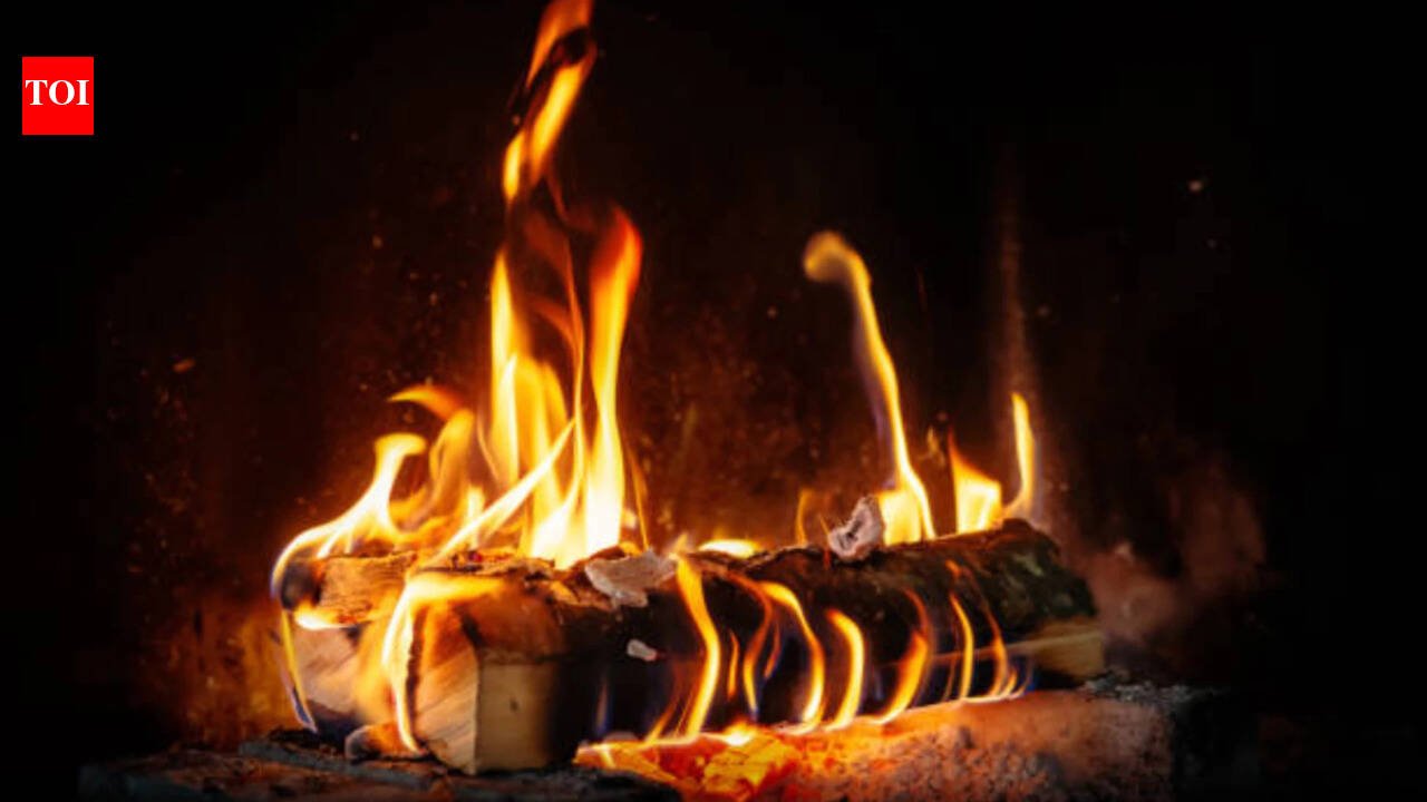 Today's German proverb: "A crooked log can make a straight fire."