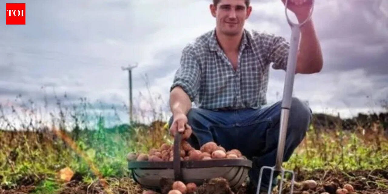 Today's German proverb: "The stupidest farmer has the biggest potatoes" - a witty reminder that success does not always go to the smartest