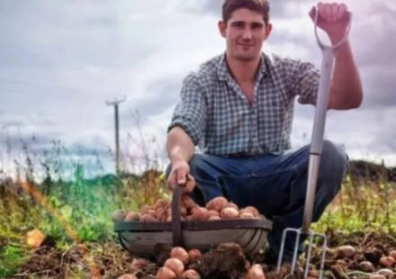 Today's German proverb: "The stupidest farmer has the biggest potatoes" - a witty reminder that success does not always go to the smartest