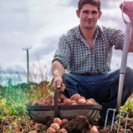 Today's German proverb: "The stupidest farmer has the biggest potatoes" - a witty reminder that success does not always go to the smartest