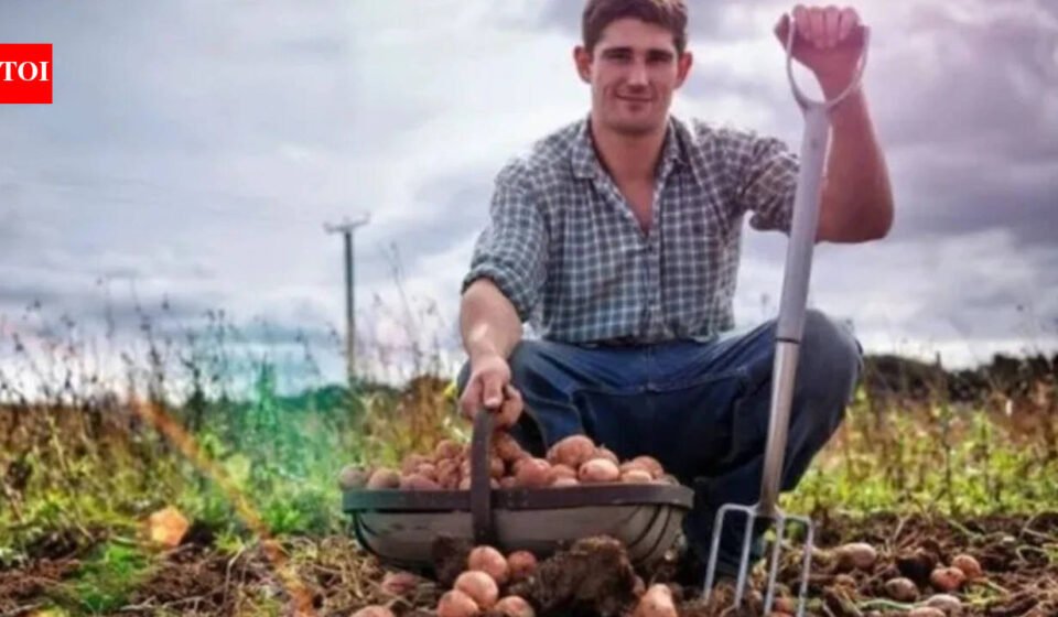 Today's German proverb: "The stupidest farmer has the biggest potatoes" - a witty reminder that success does not always go to the smartest