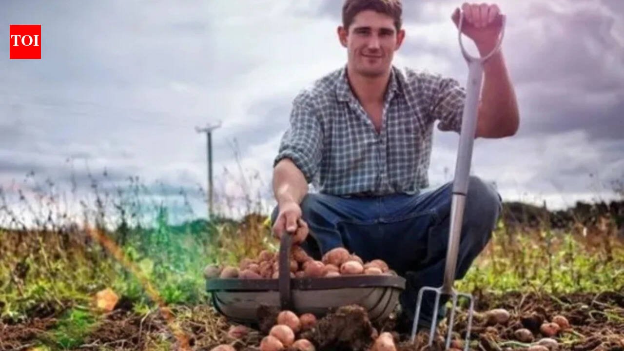 Today's German proverb: "The stupidest farmer has the biggest potatoes" - a witty reminder that success does not always go to the smartest
