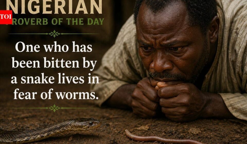 Today’s Nigerian Proverb: “Anyone bitten by a snake is afraid of bugs” and why old wounds make us afraid of harmless things | World News