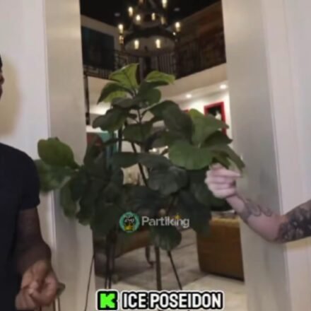 Treyliving Controversy: Kick host TreyLiving's comments about single mother's 3-year-old son spark backlash