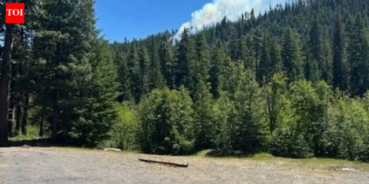 US Marine Corps F/A-18 jet crashes in Washington state, sparking wildfire; pilot slightly injured