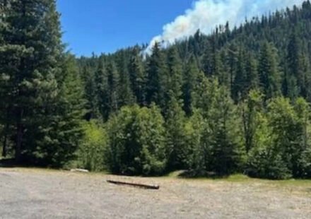 US Marine Corps F/A-18 jet crashes in Washington state, sparking wildfire; pilot slightly injured