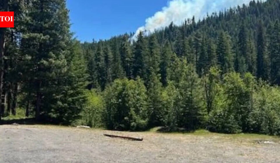 US Marine Corps F/A-18 jet crashes in Washington state, sparking wildfire; pilot slightly injured