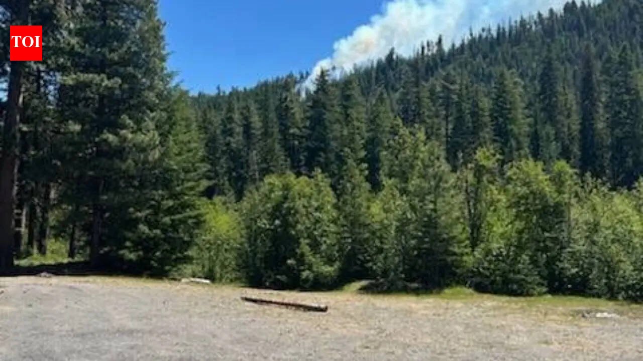 US Marine Corps F/A-18 jet crashes in Washington state, sparking wildfire; pilot slightly injured