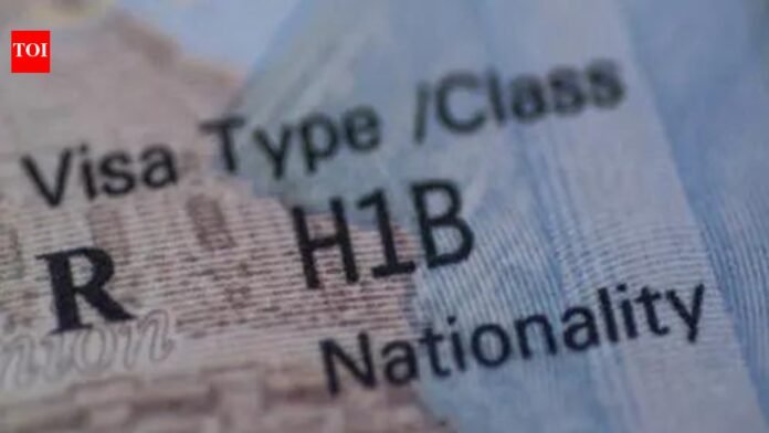 US judge blocks Donald Trump's $100,000 visa fee, calling it illegal

