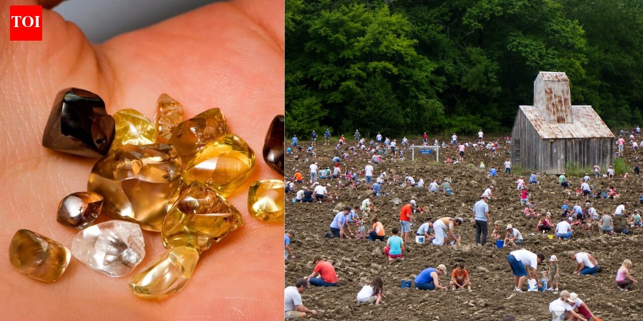 Visitors have discovered more than 37,000 diamonds at this US park since 1972 and can keep every gem they find | World News