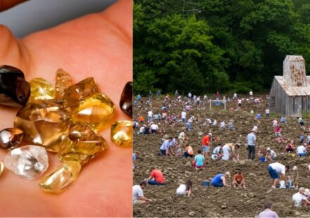 Visitors have discovered more than 37,000 diamonds at this US park since 1972 and can keep every gem they find | World News
